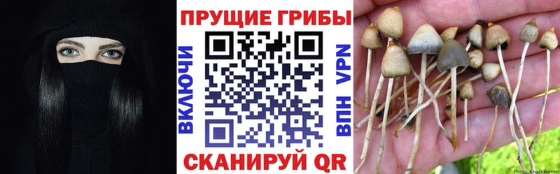 Галлюциногенные грибы ЛСД  как найти закладки  Выкса 