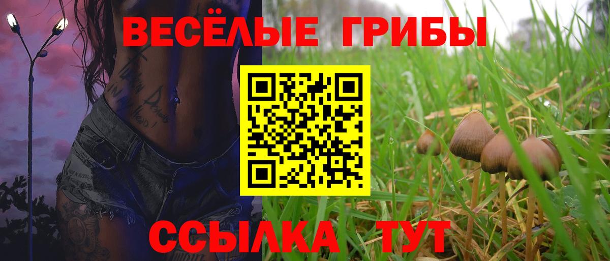 Псилоцибиновые грибы GOLDEN TEACHER  Псилоцибиновые грибы MAGIC MUSHROOMS  Вход с VPN  Выкса 